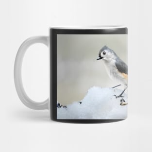 Tufted Titmouse in Winter... Mug